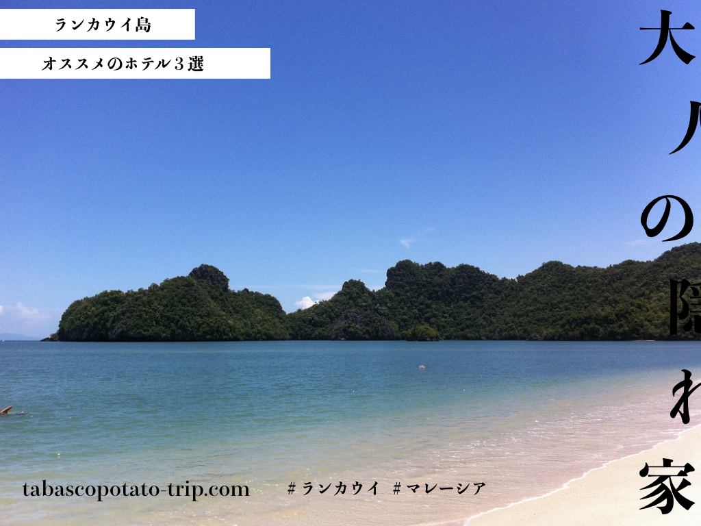 f:id:tabascopotato259:20180120224823j:plain f:id:tabascopotato259:20180120224823j:plain