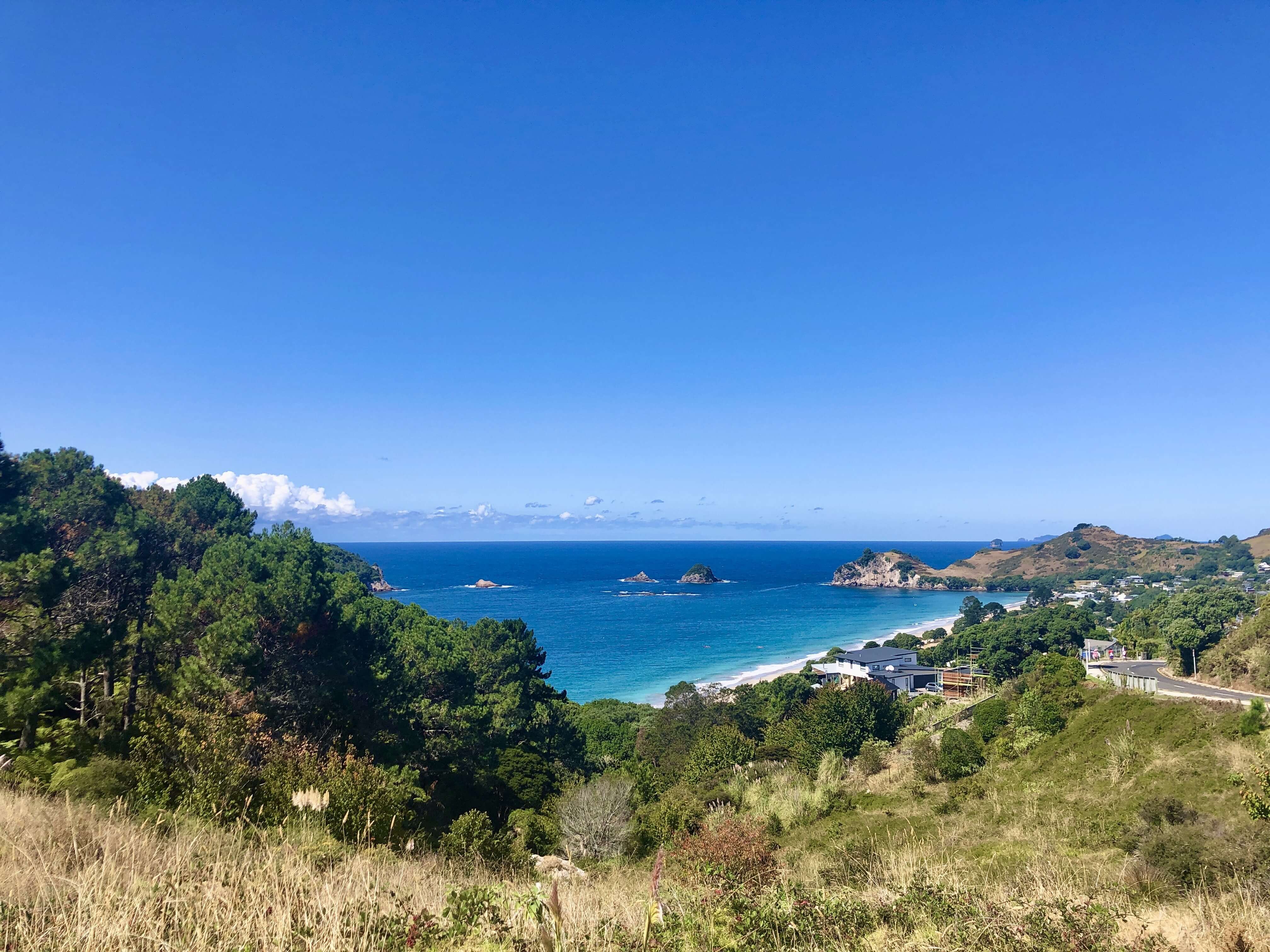 コロマンデル半島