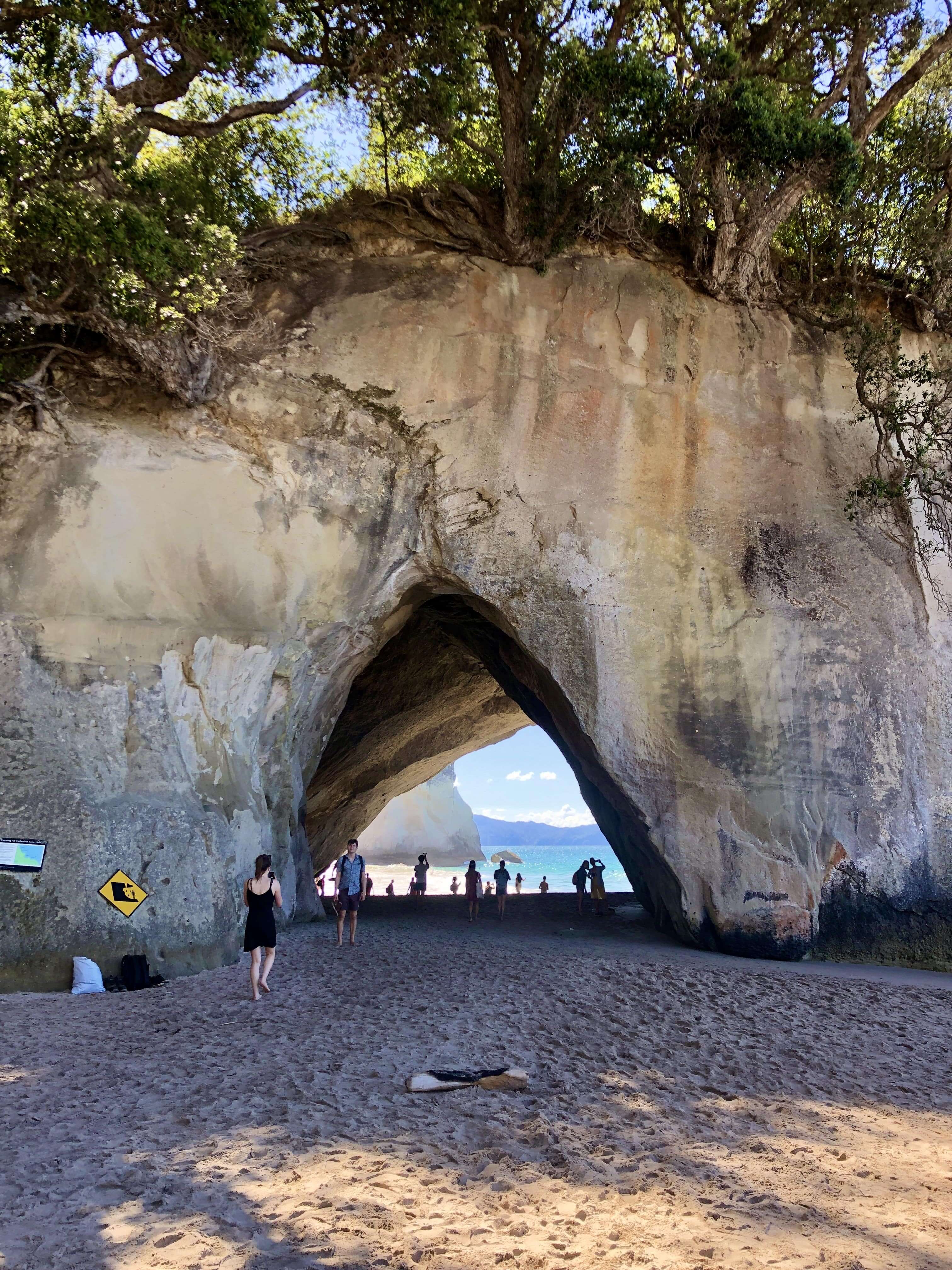 コロマンデル半島