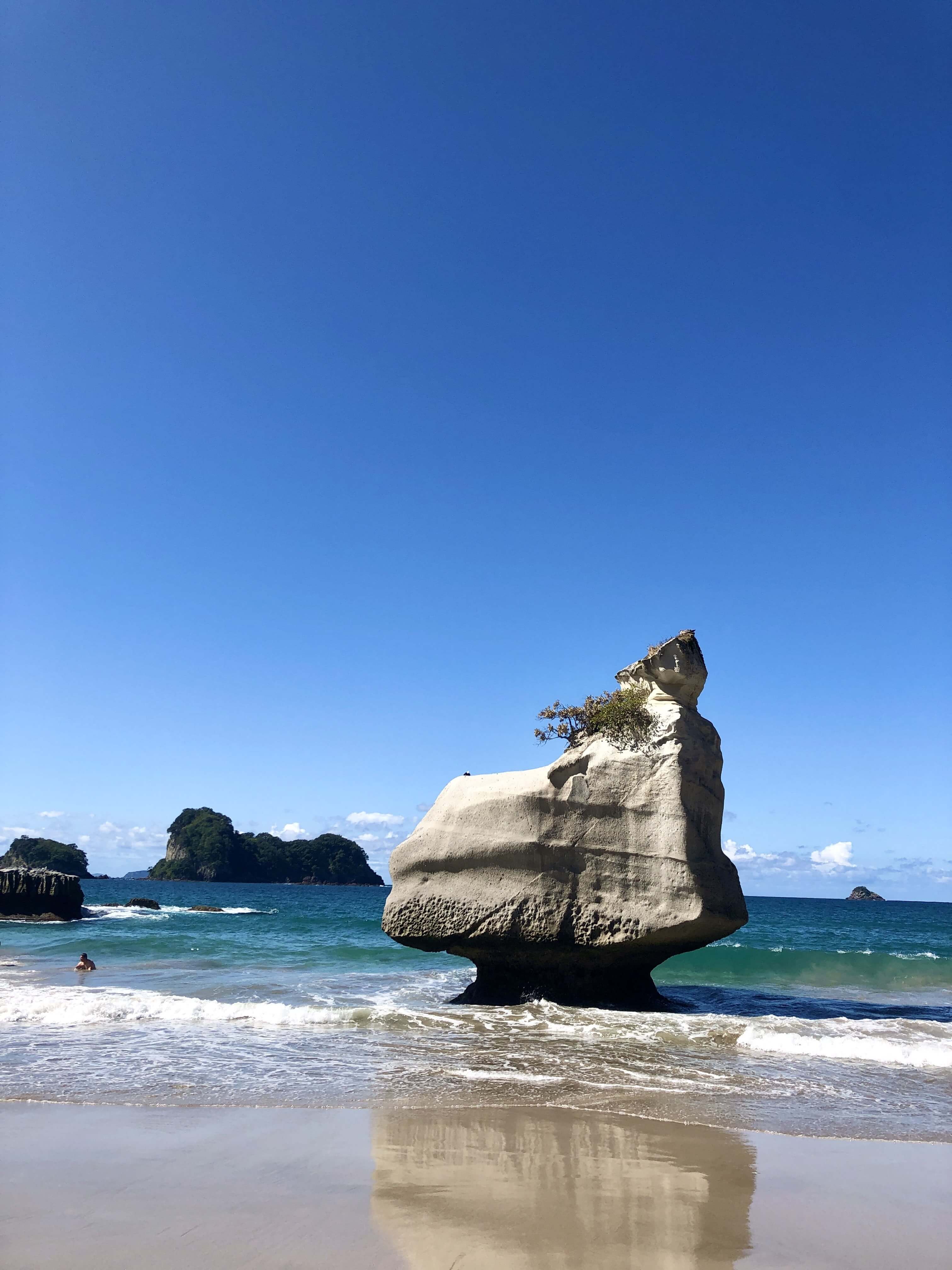 コロマンデル半島