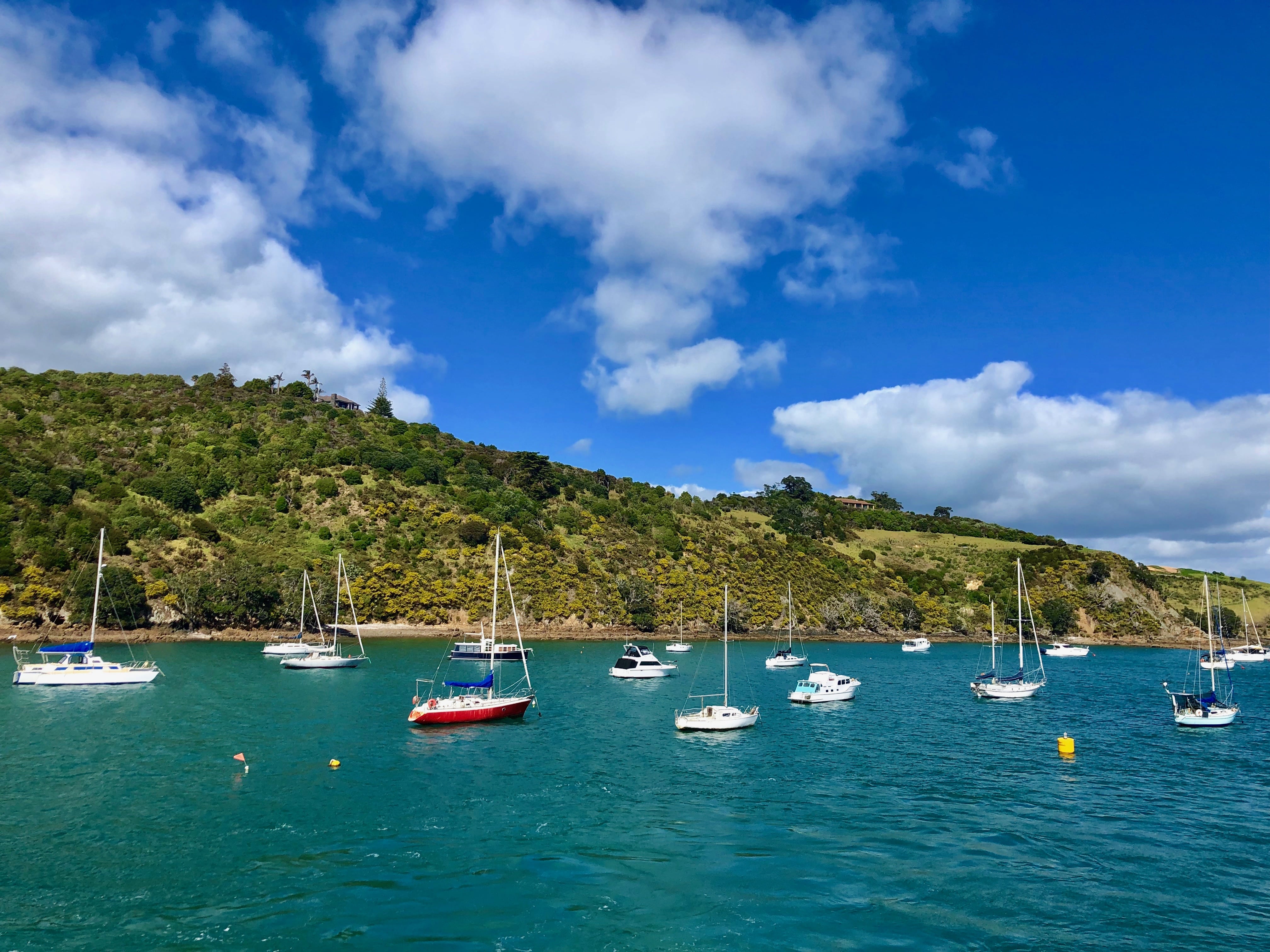 ワイヘキ島 船着き場