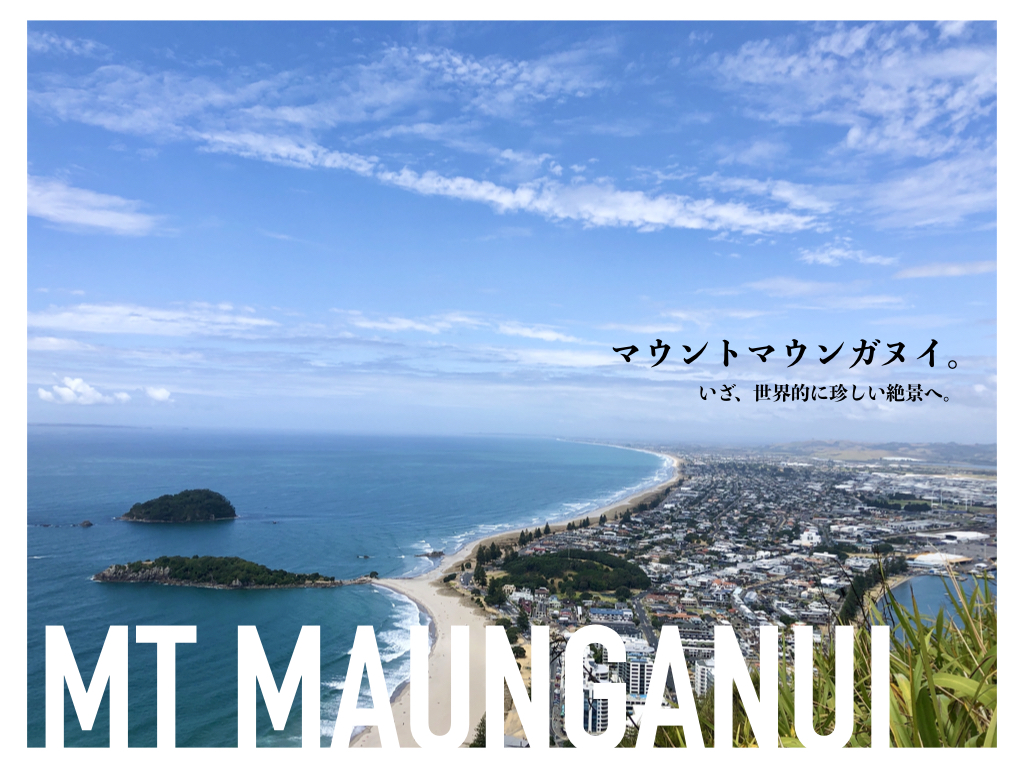 マウントマウンガヌイ