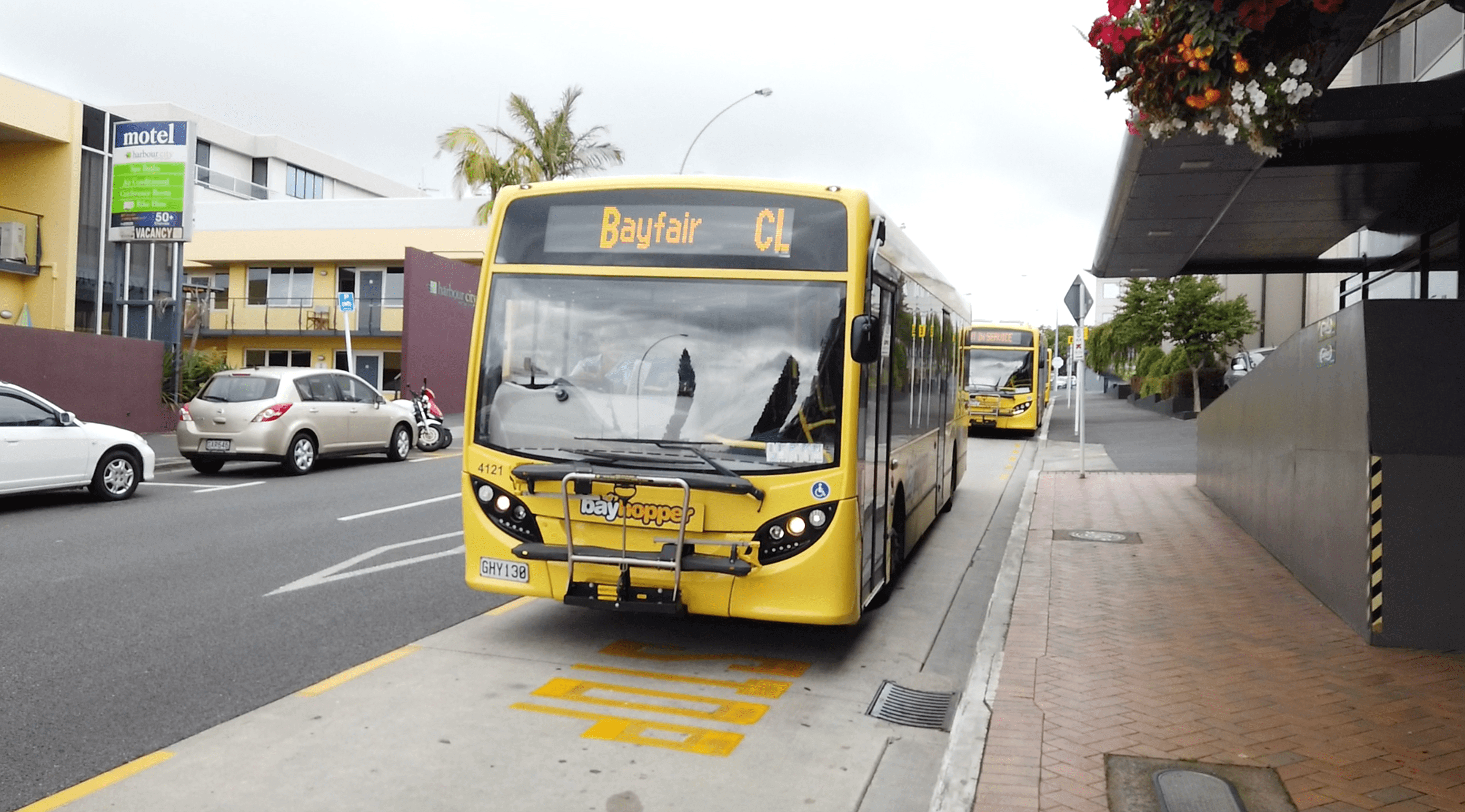 マウントマウンガヌイへのバス