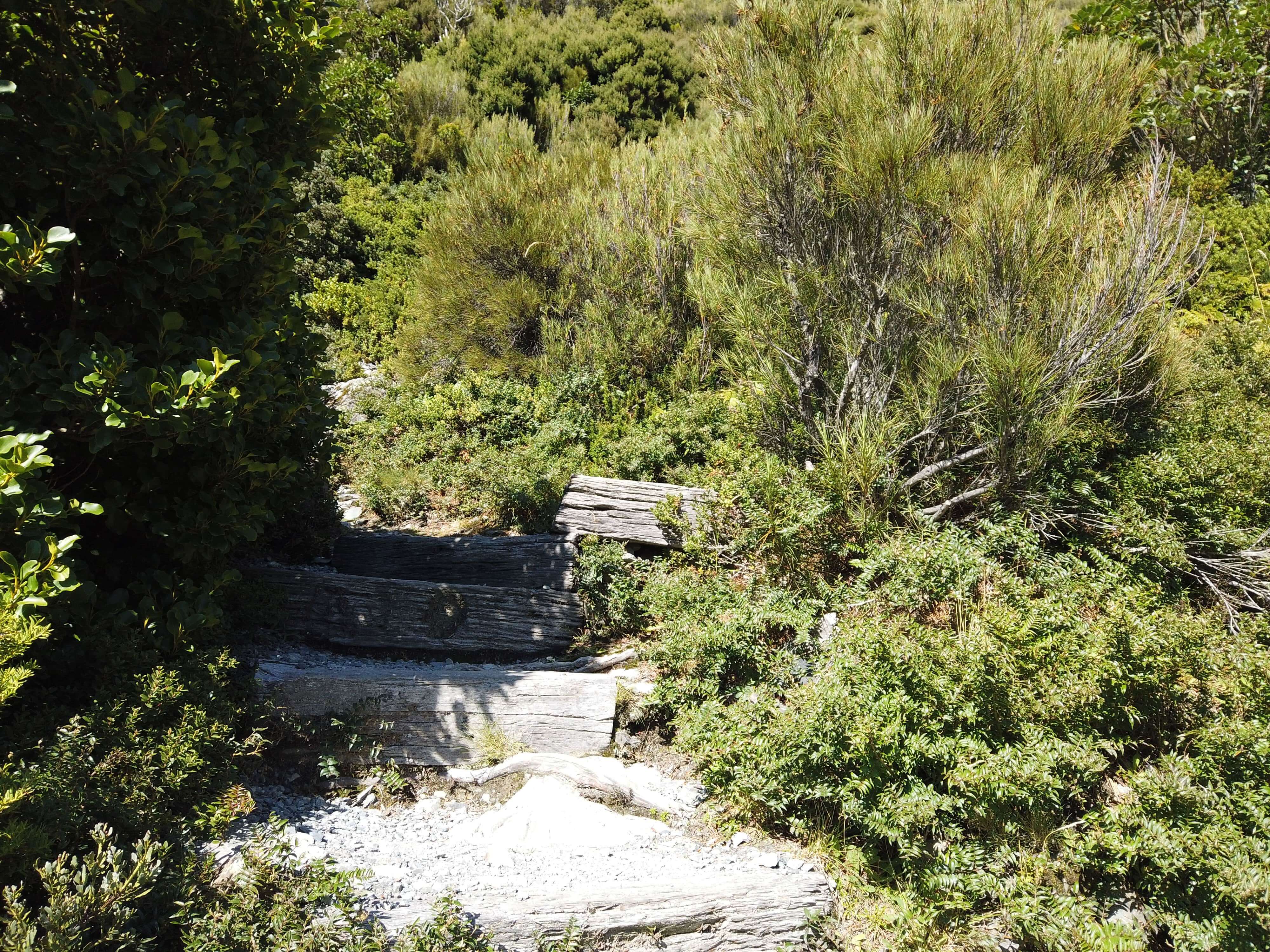 ミュラーハットトラック