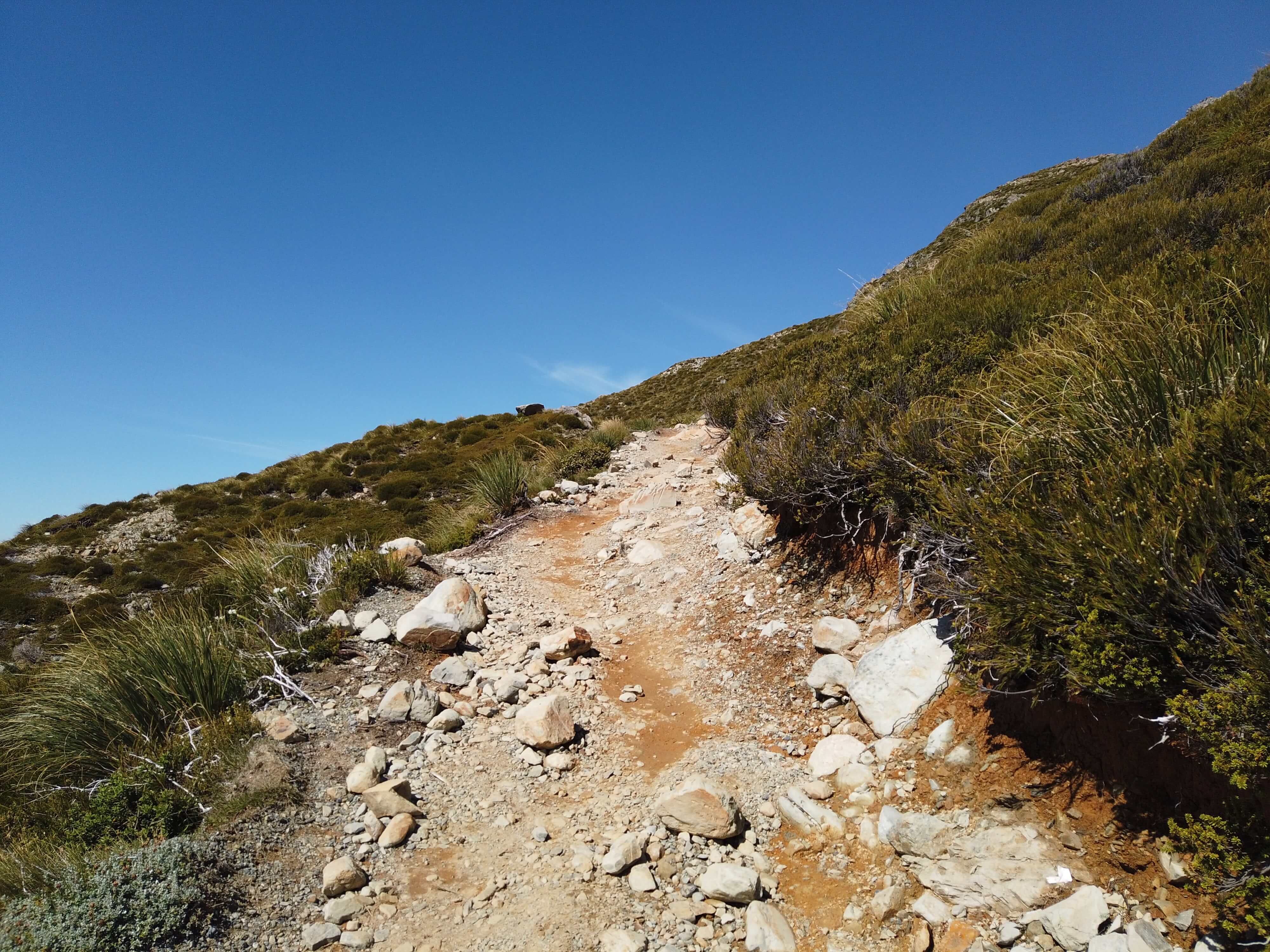 ミュラーハットトラック