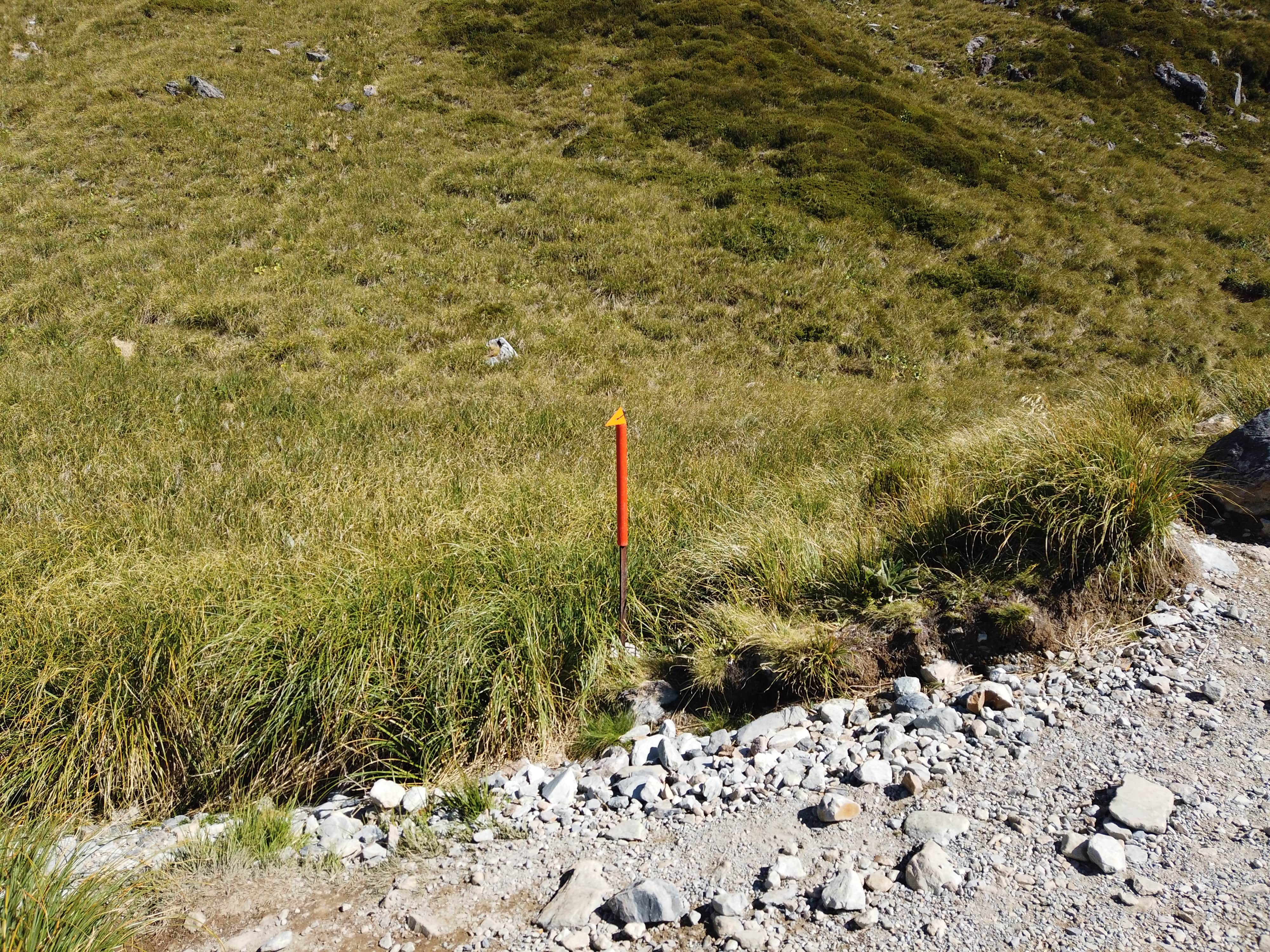 ミュラーハットトラック