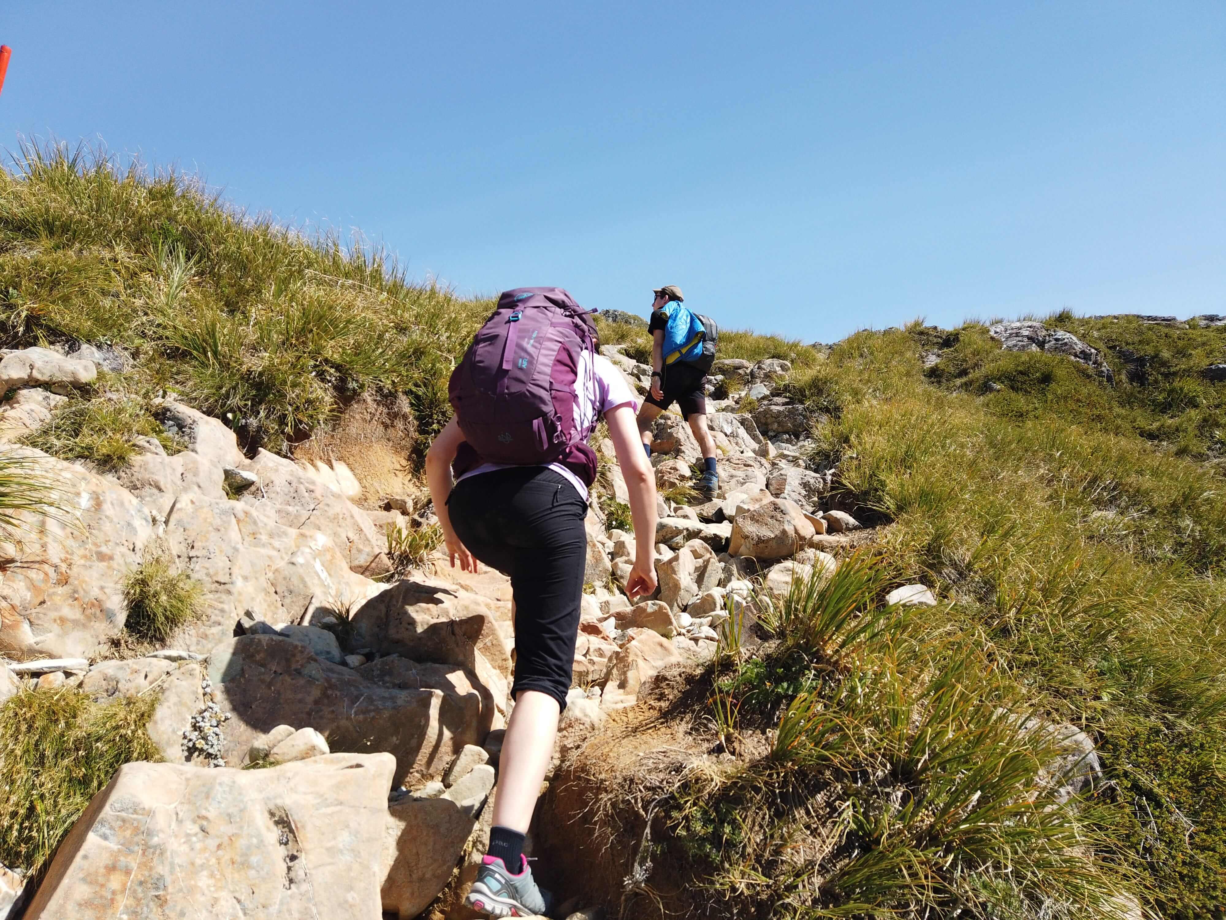 ミュラーハットトラック