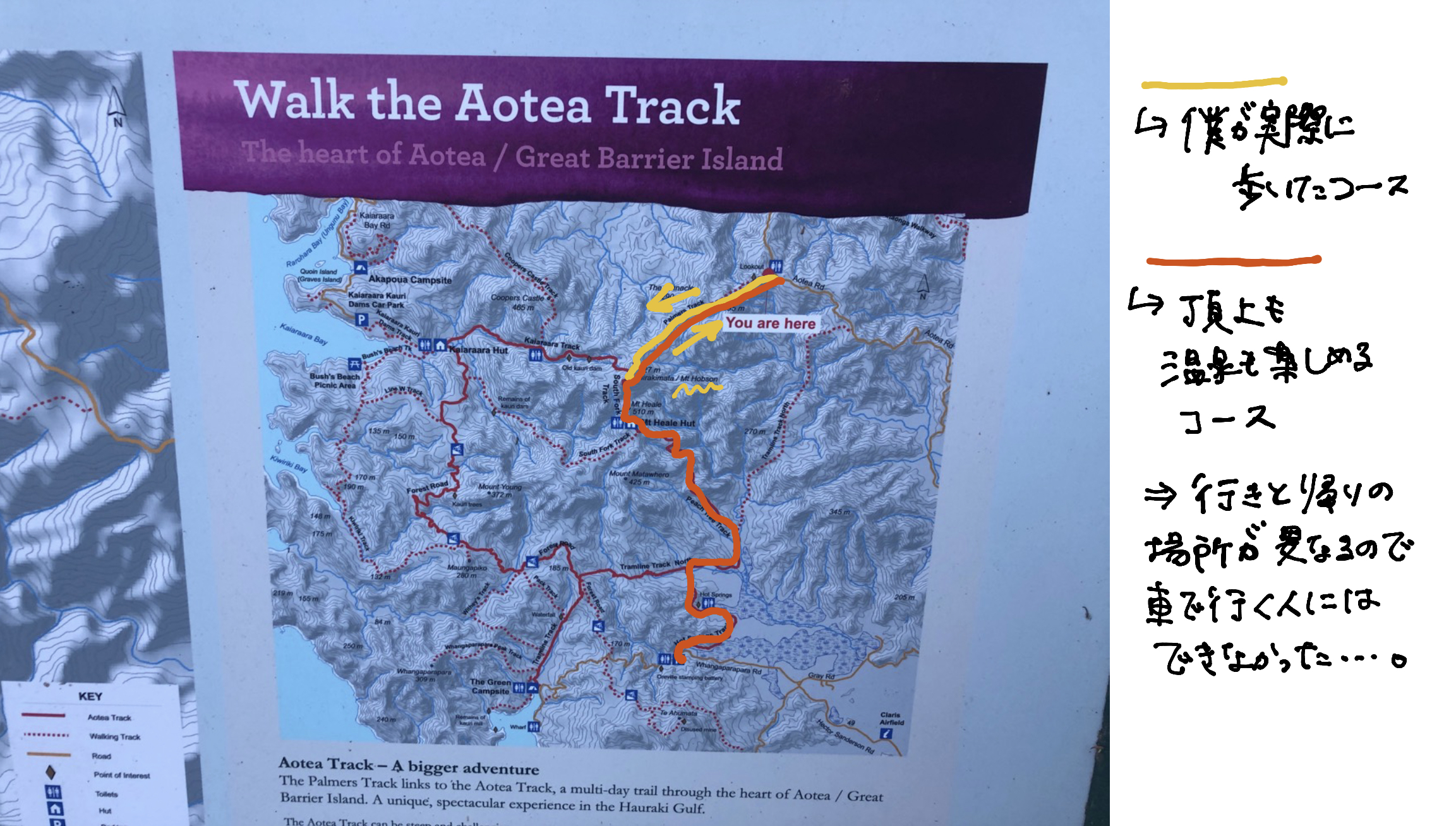 マウントホブソン　コース