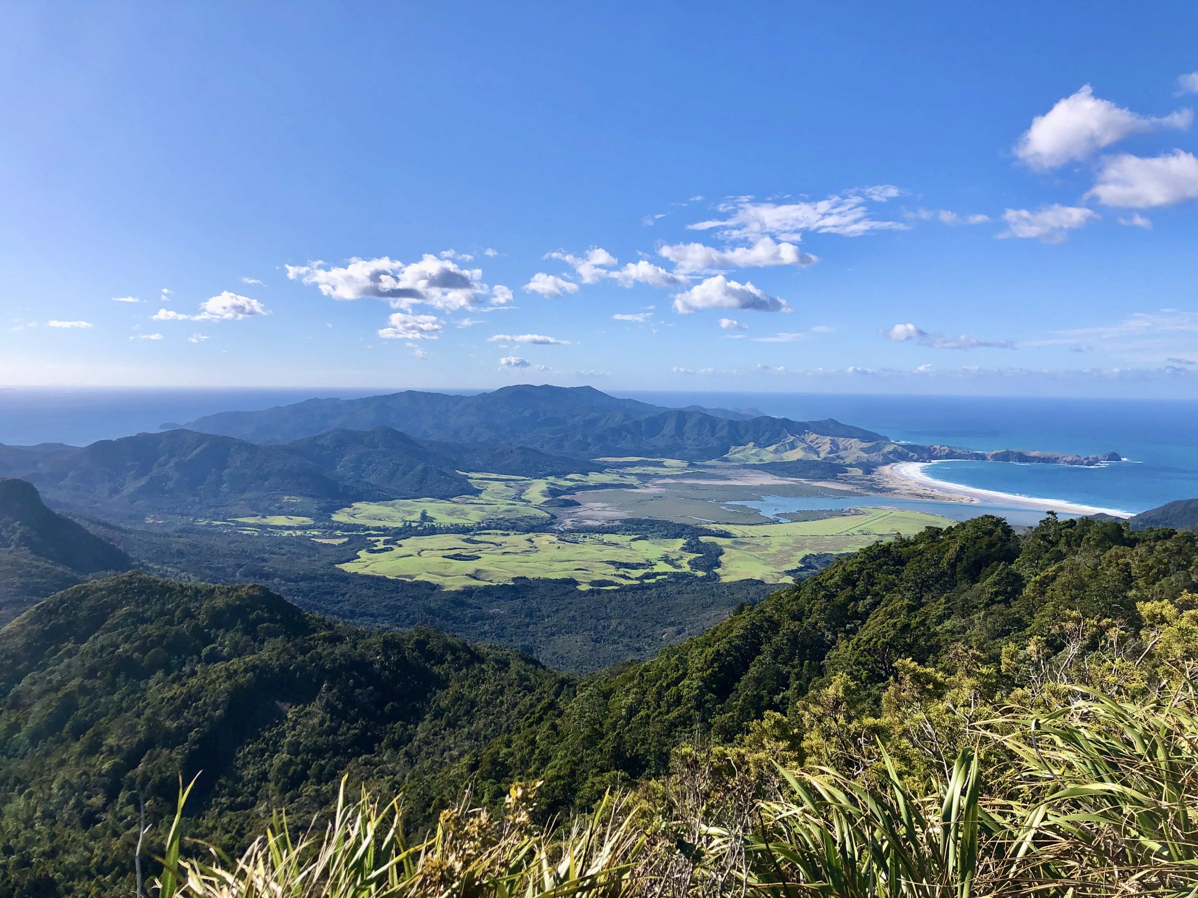 グレートバリア島　マウントホブソン