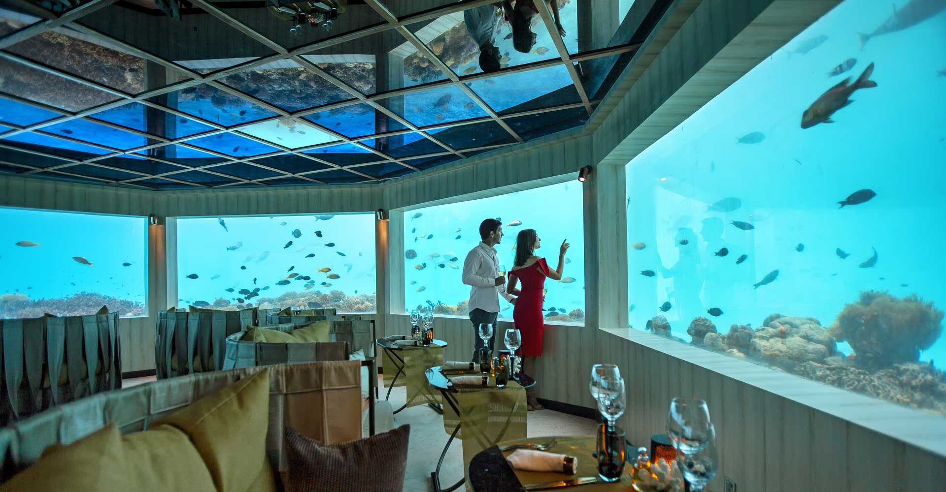 M6m / オーゼン バイ アトモスフェア